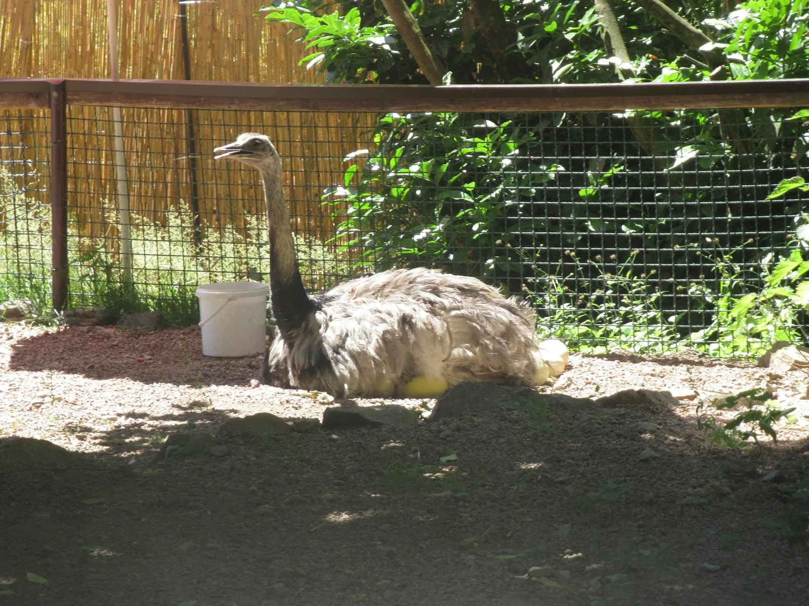 Tierpark Bad Liebenstein