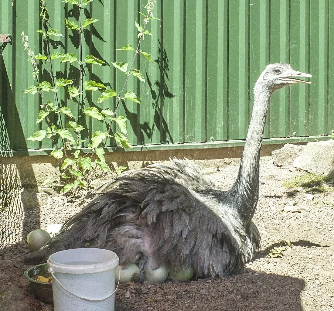 Tierpark Bad Liebenstein