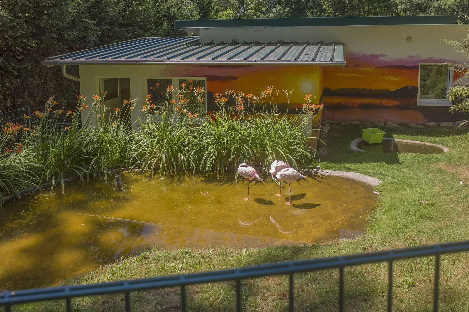 Tierpark Bad Liebenstein