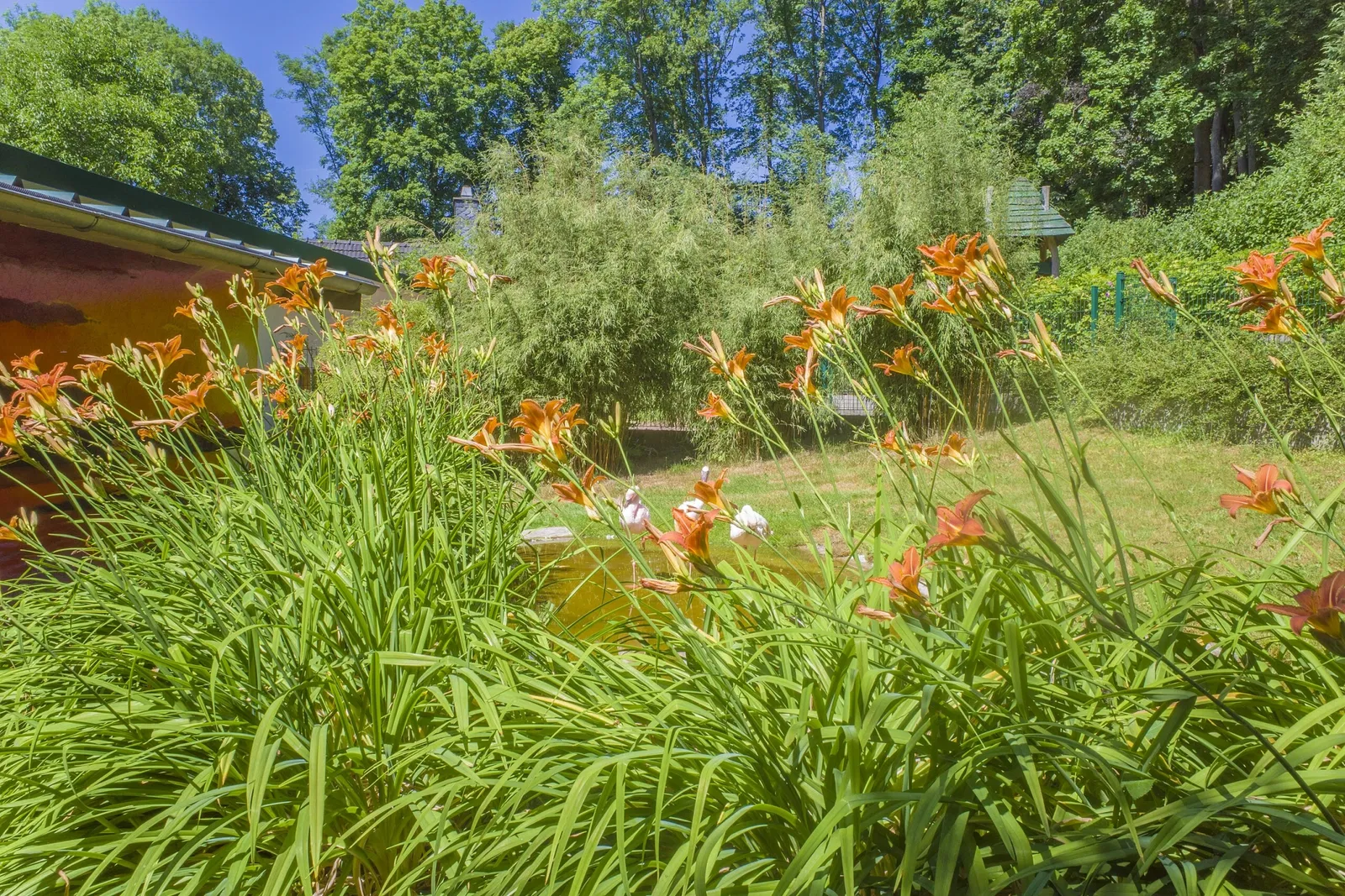 Tierpark Bad Liebenstein