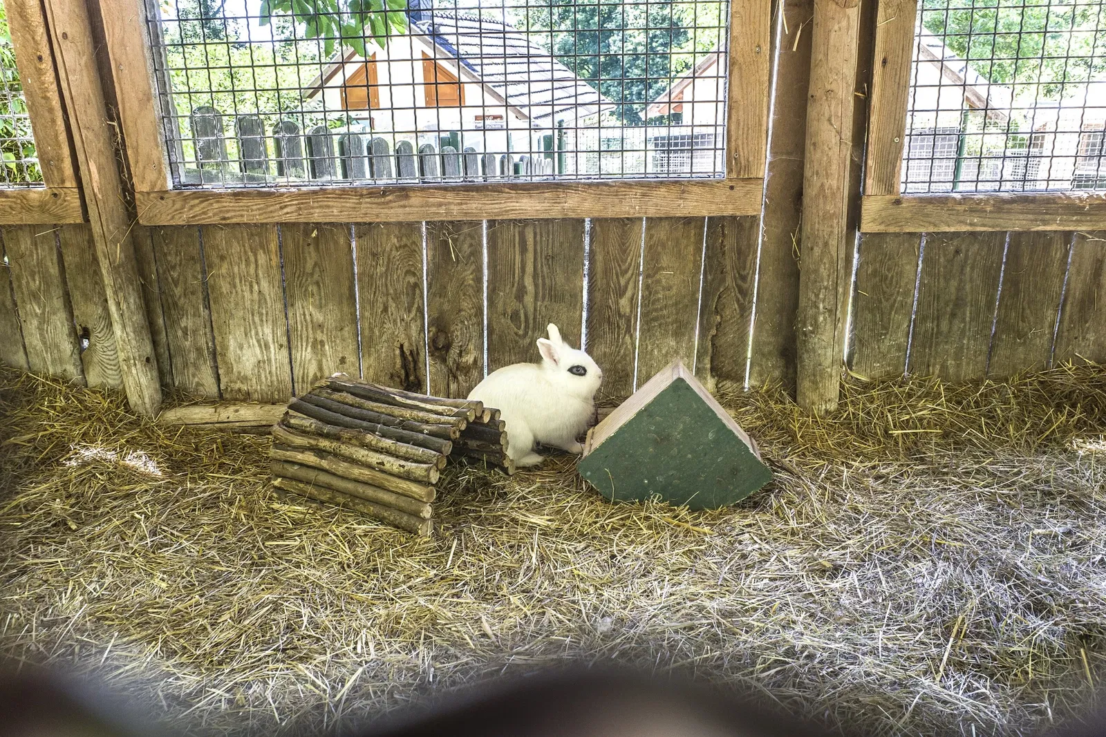 Tierpark Bad Liebenstein