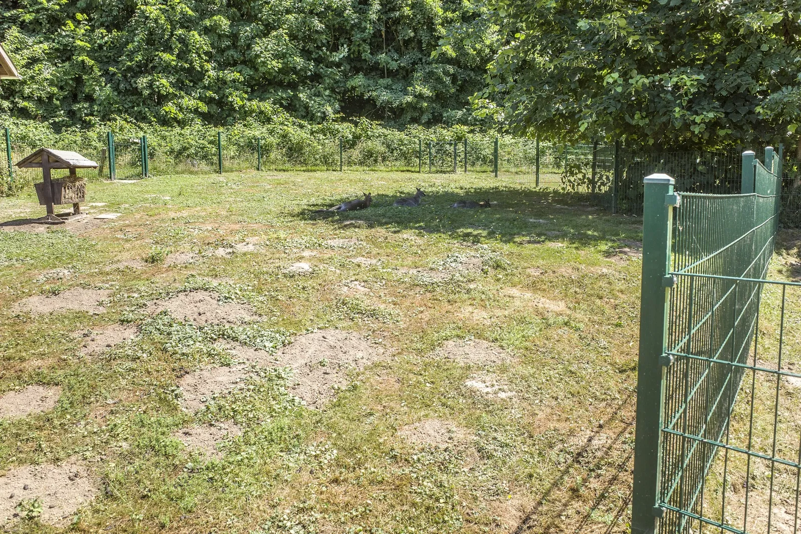 Tierpark Bad Liebenstein