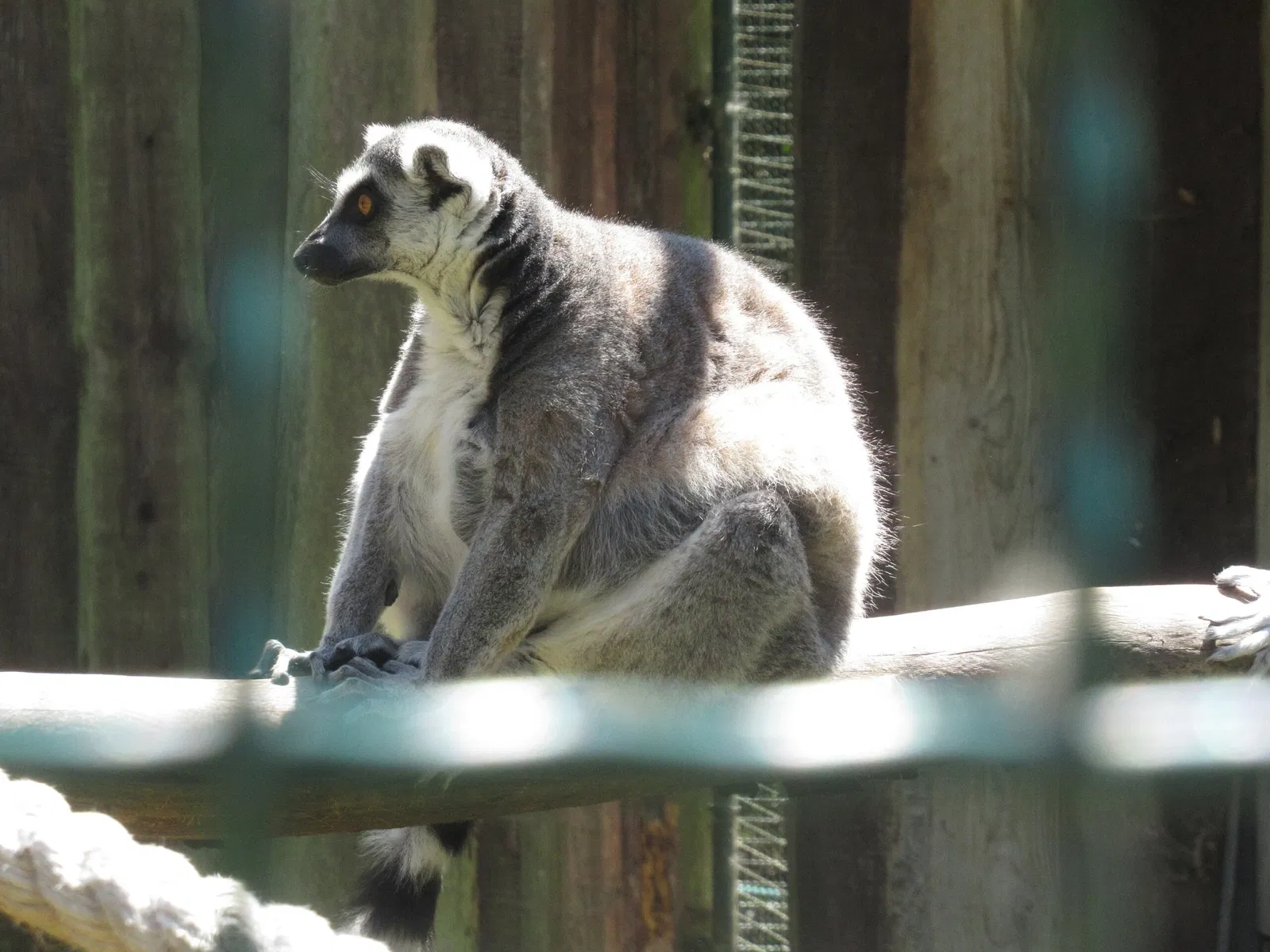 Tierpark Bad Liebenstein