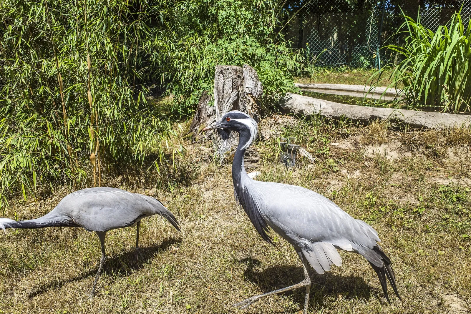 Tierpark Bad Liebenstein