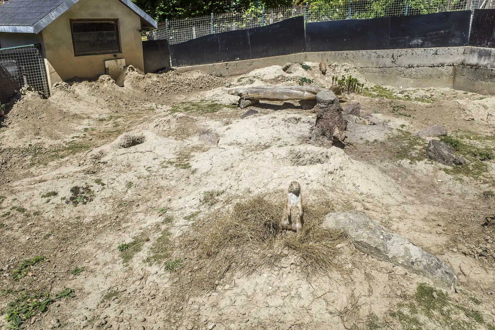 Tierpark Bad Liebenstein