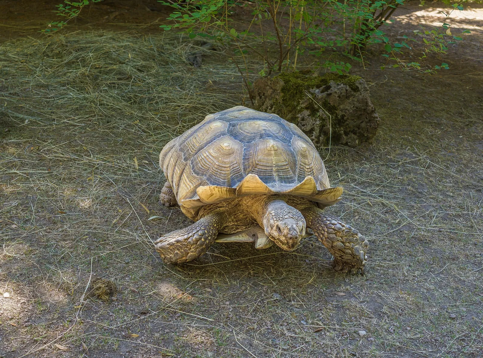 Tierpark Bad Liebenstein