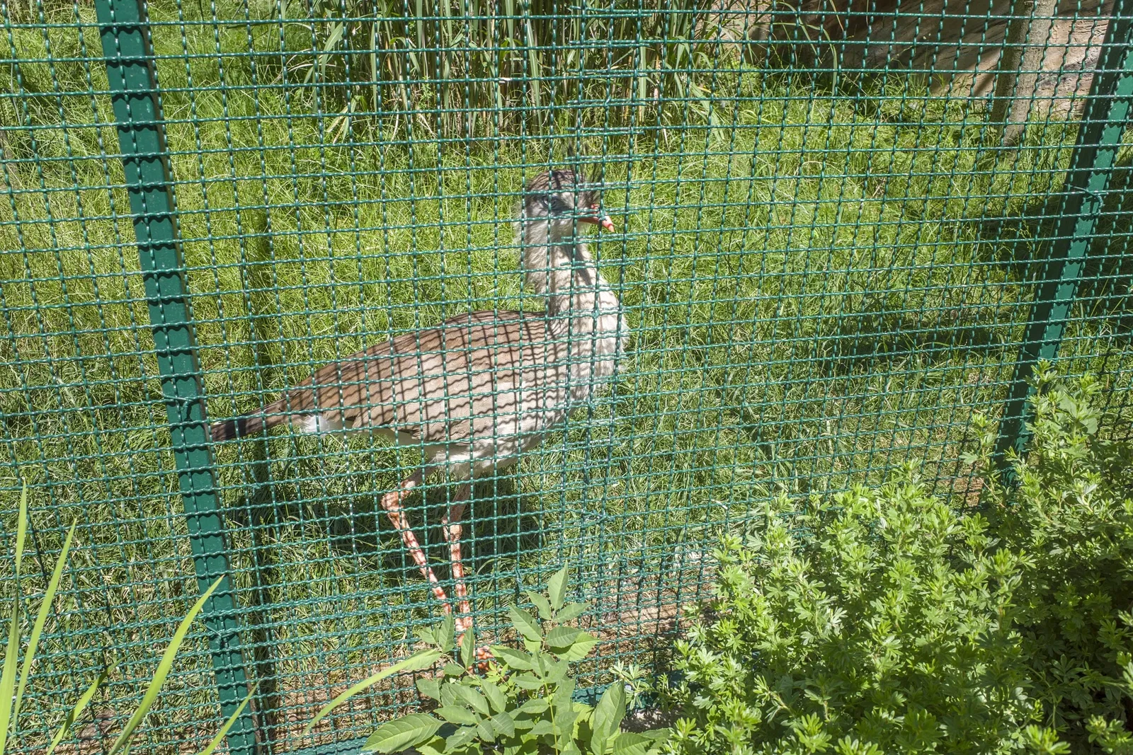 Tierpark Bad Liebenstein