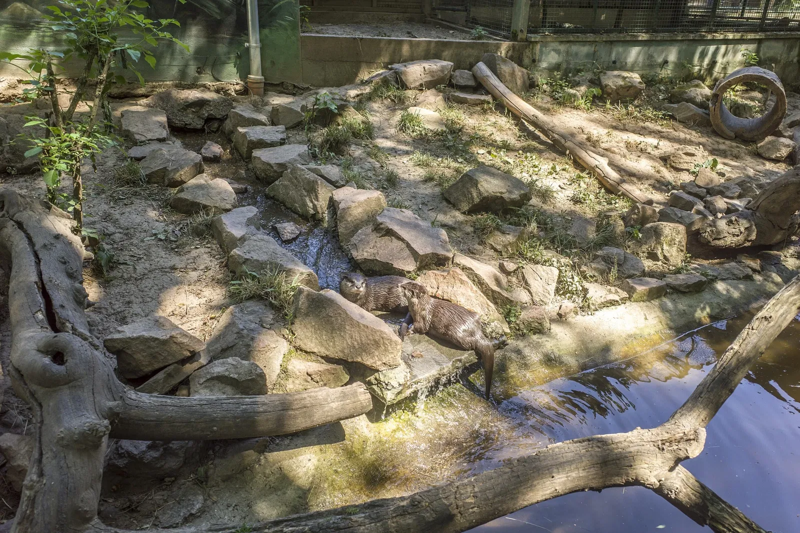 Tierpark Bad Liebenstein