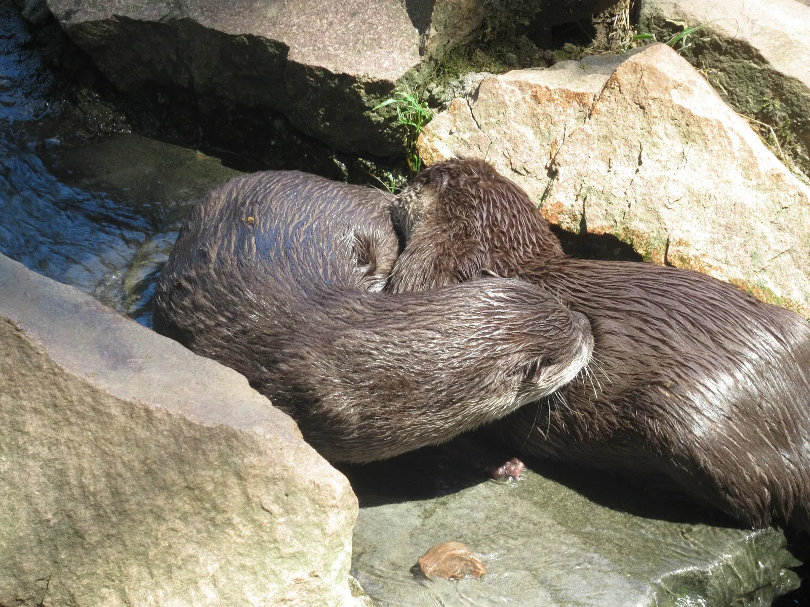 Tierpark Bad Liebenstein