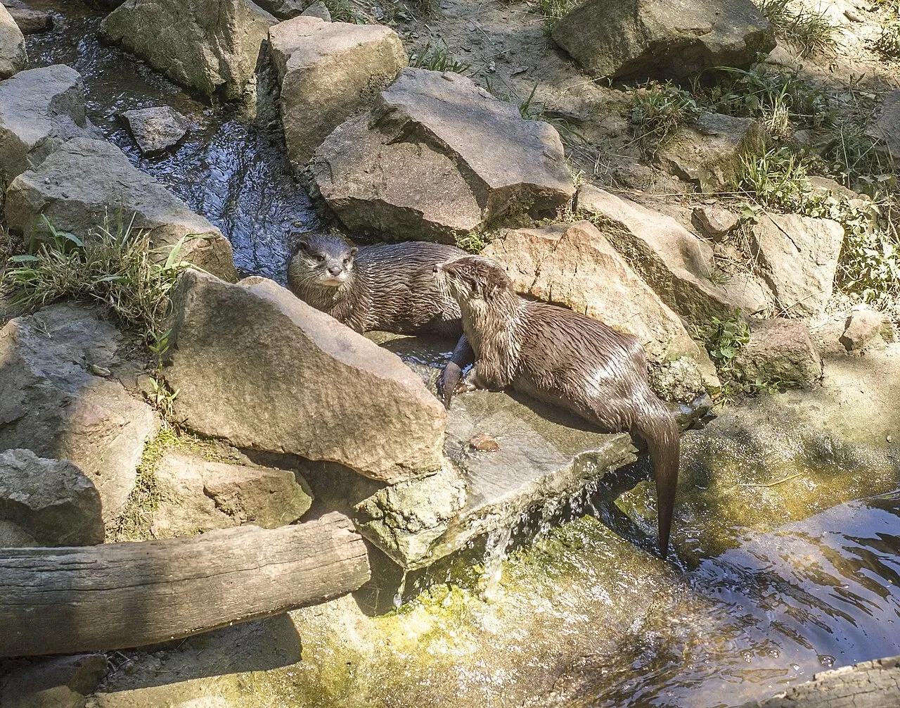 Tierpark Bad Liebenstein