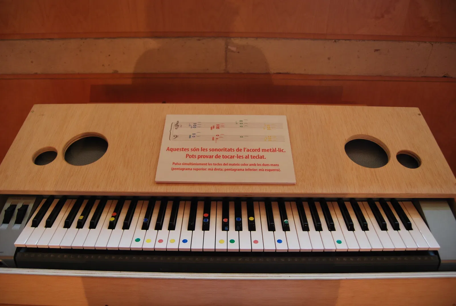 Music Museum of Luis Delgado