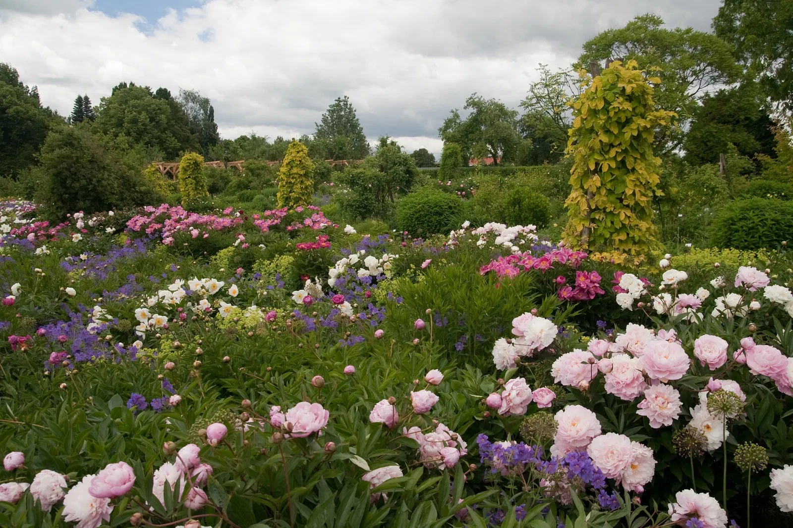Jardín de Exhibición Weihenstephan del Instituto de Plantas Arbustivas