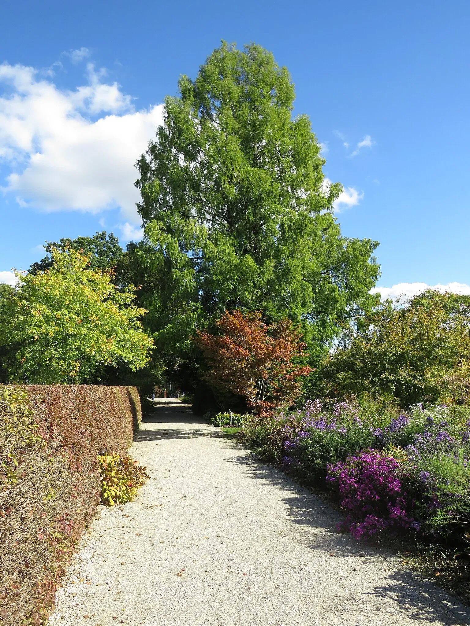 Jardín de Exhibición Weihenstephan del Instituto de Plantas Arbustivas