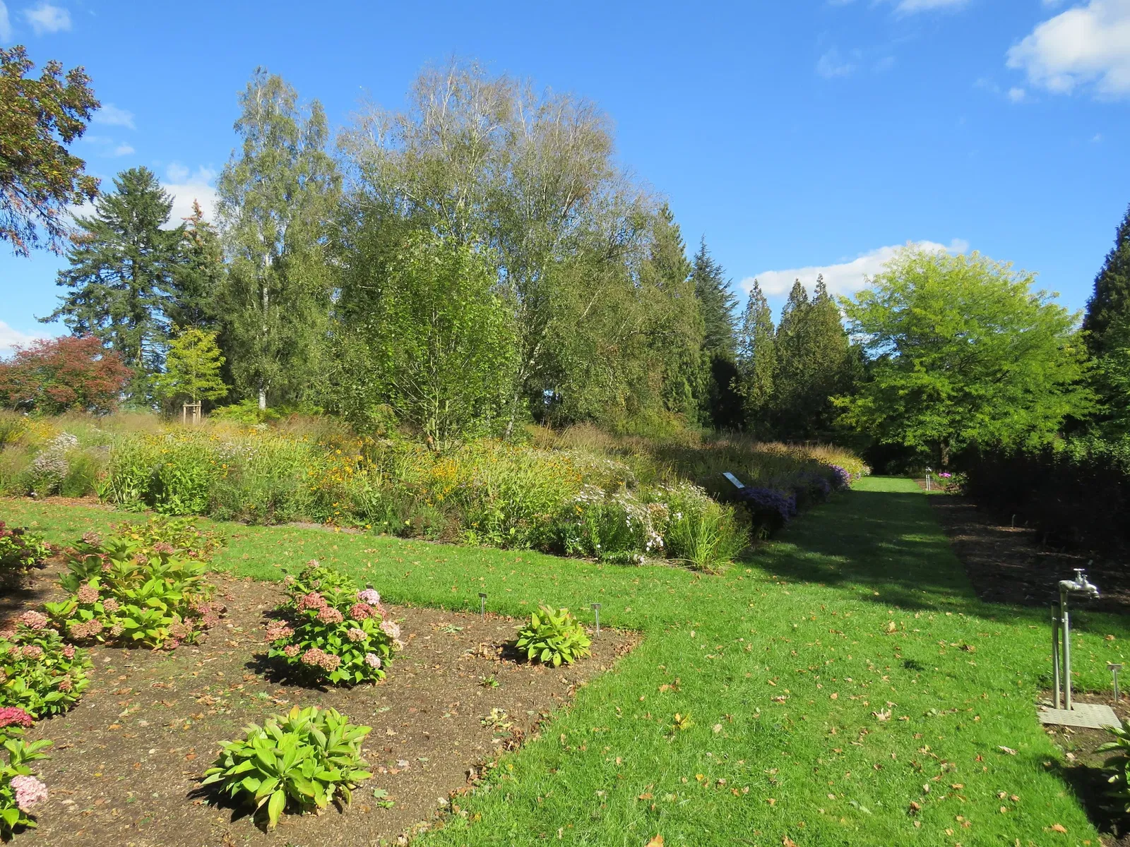 Sichtungsgarten Weihenstephan