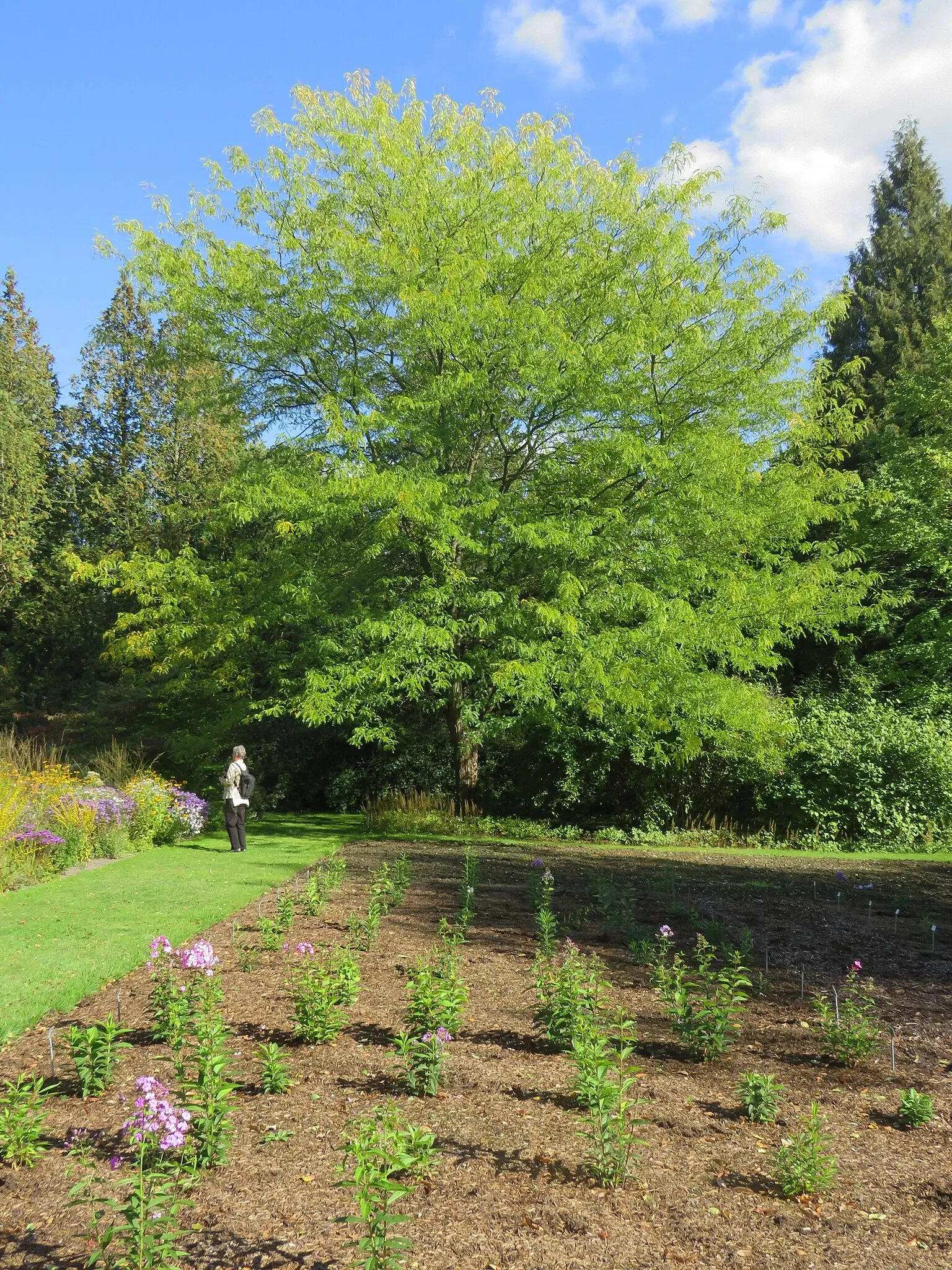Sichtungsgarten Weihenstephan