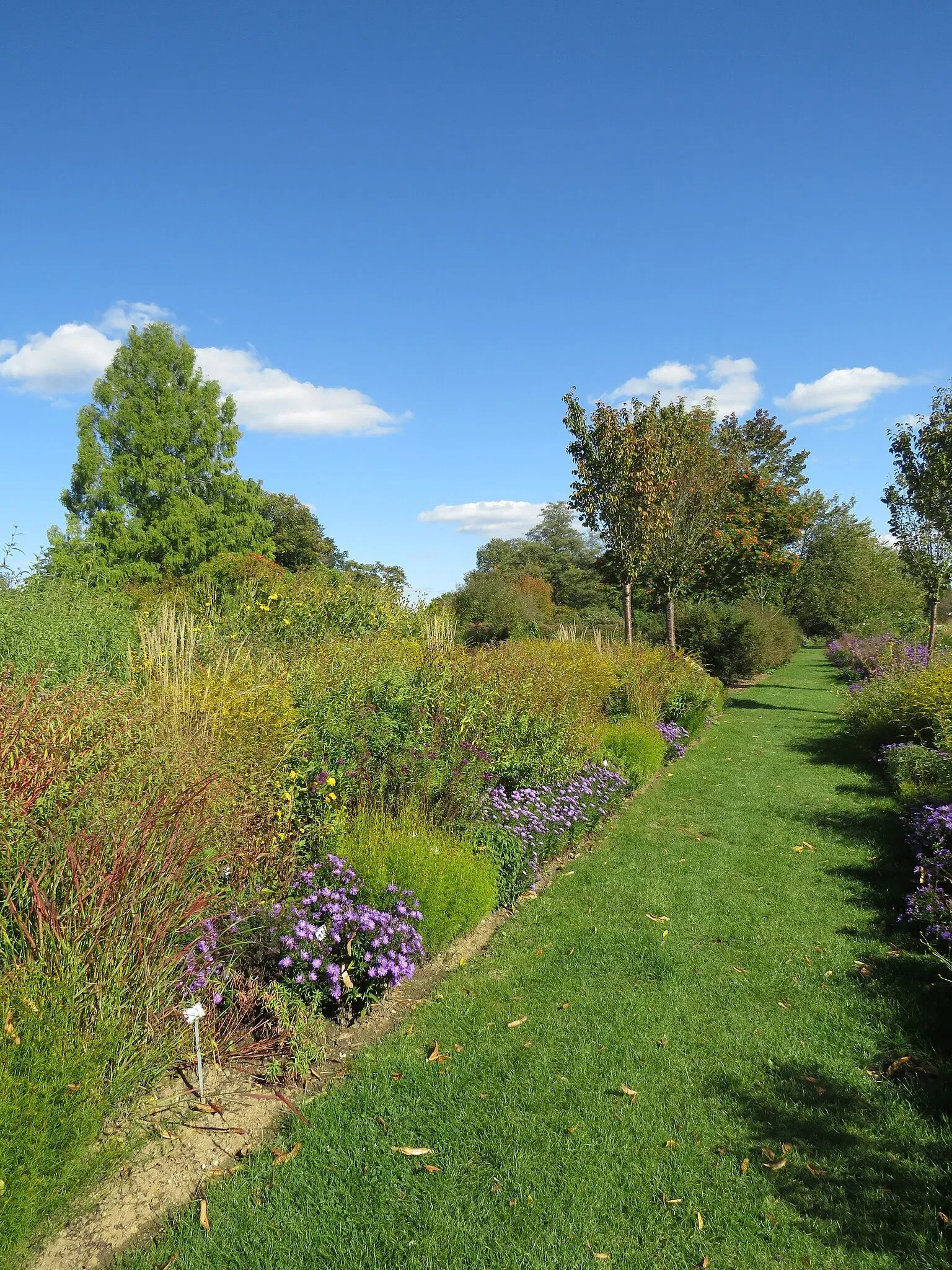 Sichtungsgarten Weihenstephan