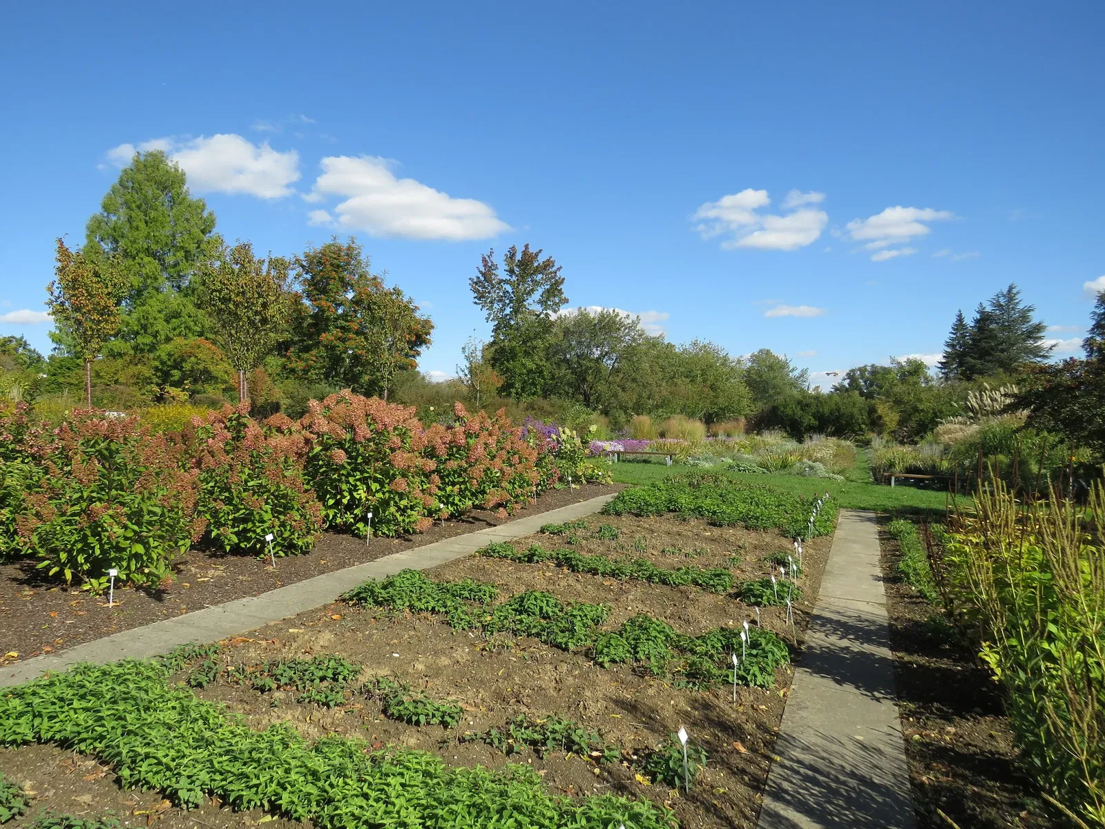 Sichtungsgarten Weihenstephan