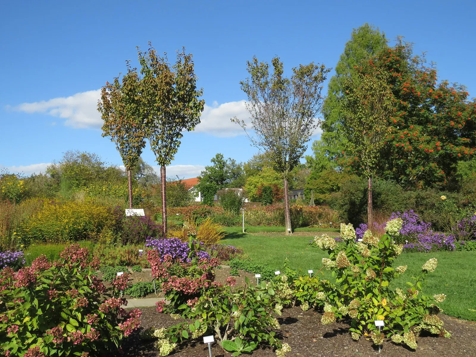 Sichtungsgarten Weihenstephan