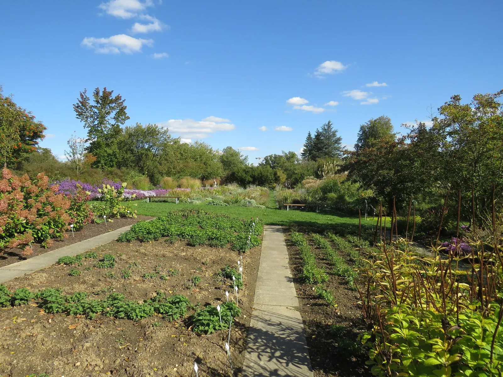 Jardín de Exhibición Weihenstephan del Instituto de Plantas Arbustivas
