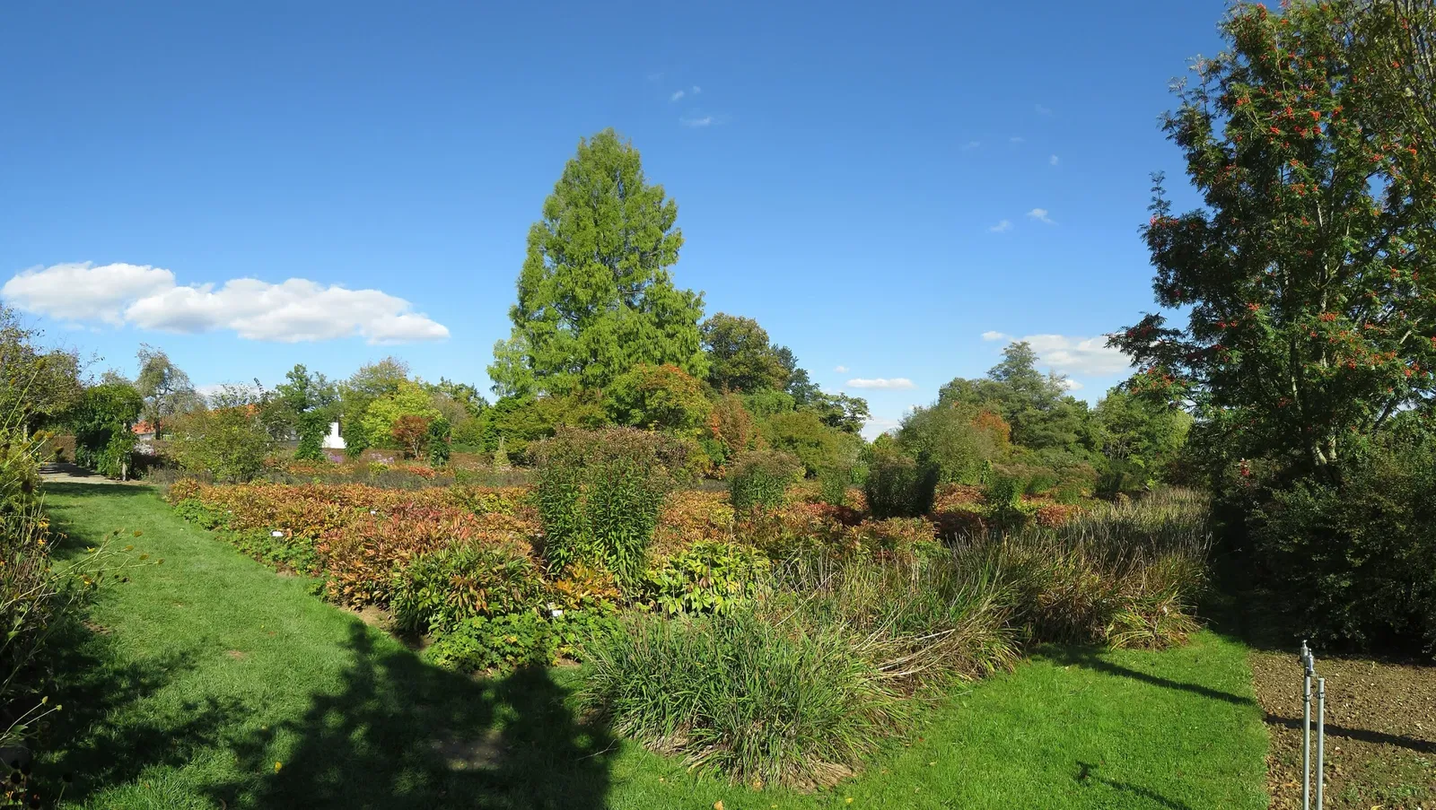 Sichtungsgarten Weihenstephan