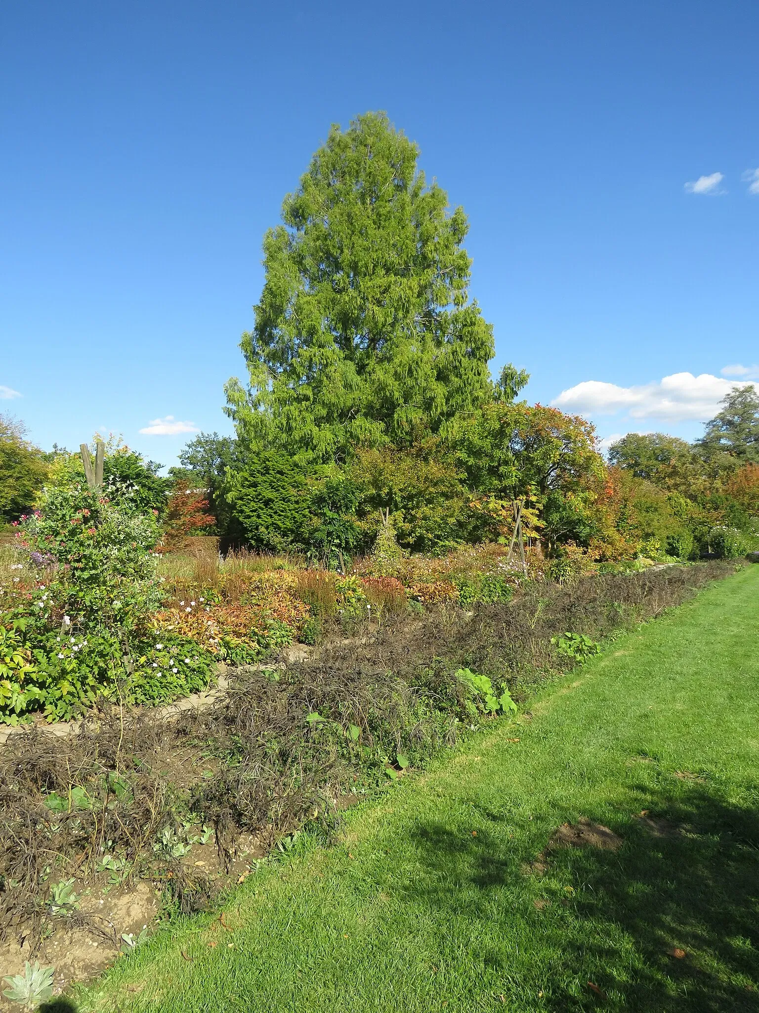 Jardín de Exhibición Weihenstephan del Instituto de Plantas Arbustivas