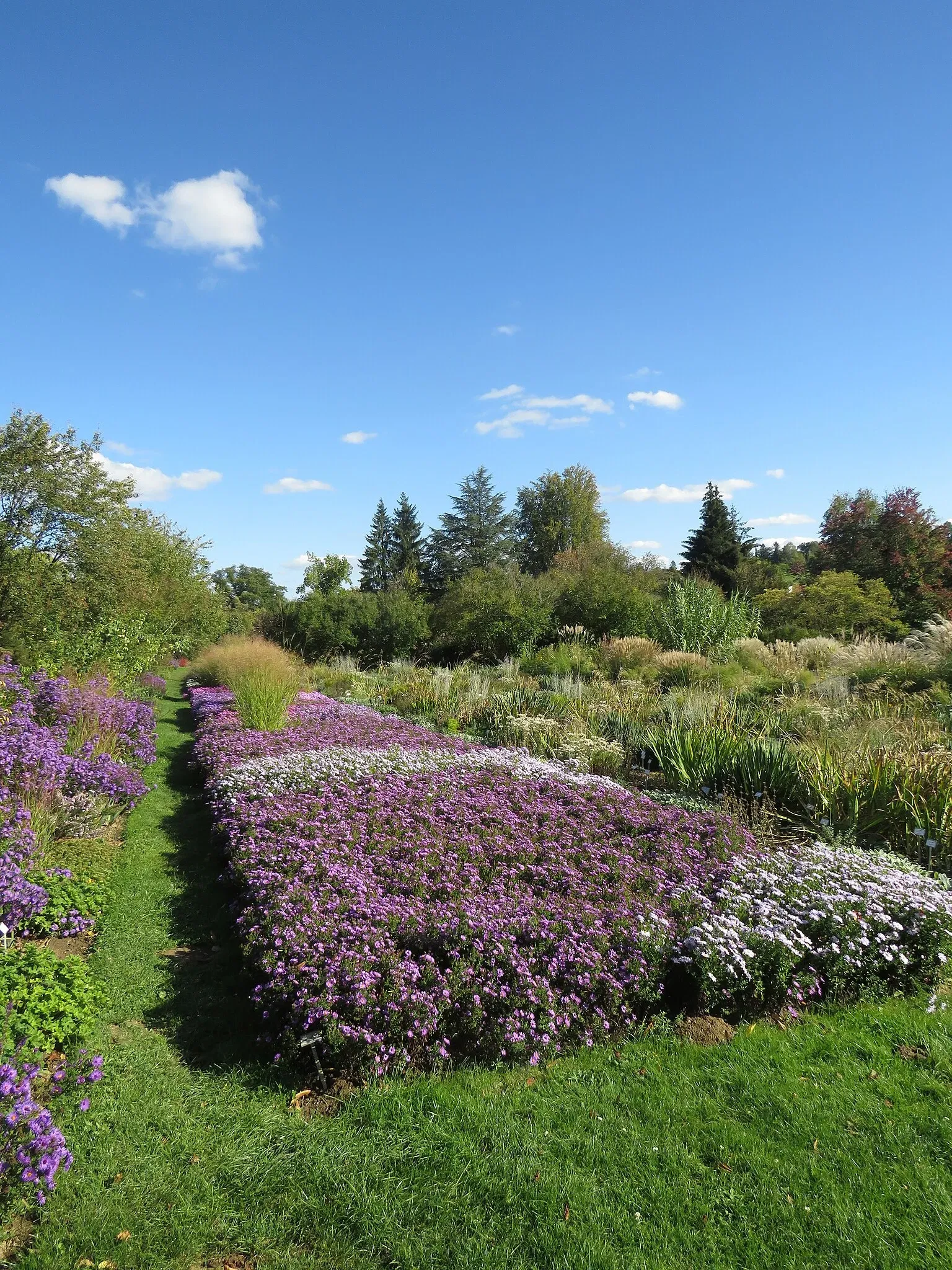 Jardín de Exhibición Weihenstephan del Instituto de Plantas Arbustivas