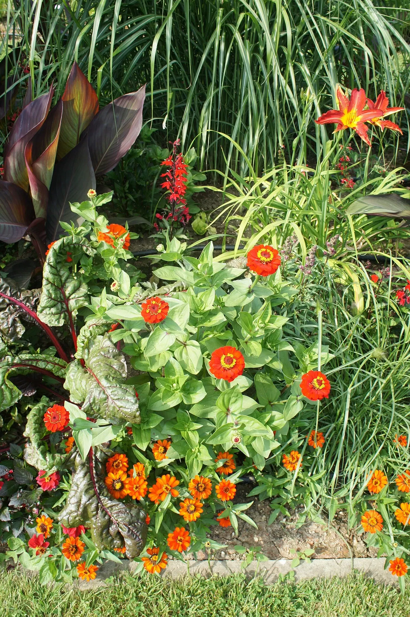 Jardín de Exhibición Weihenstephan del Instituto de Plantas Arbustivas