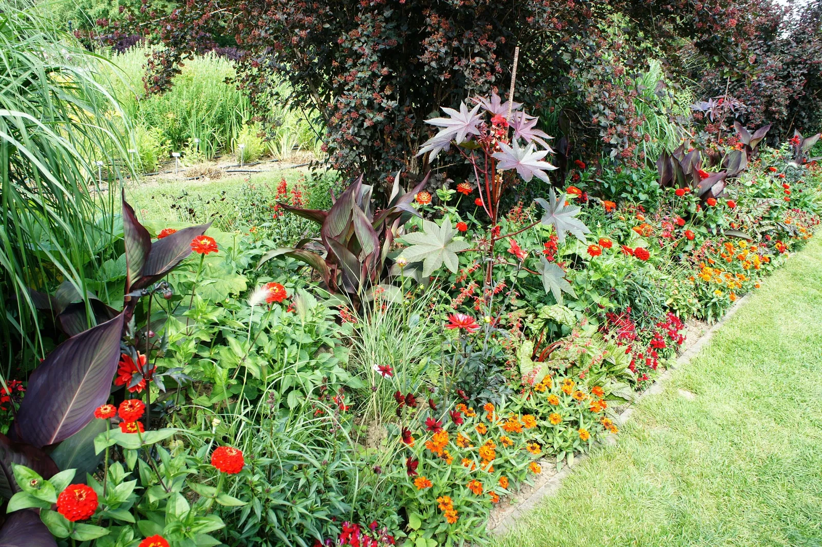 Jardín de Exhibición Weihenstephan del Instituto de Plantas Arbustivas
