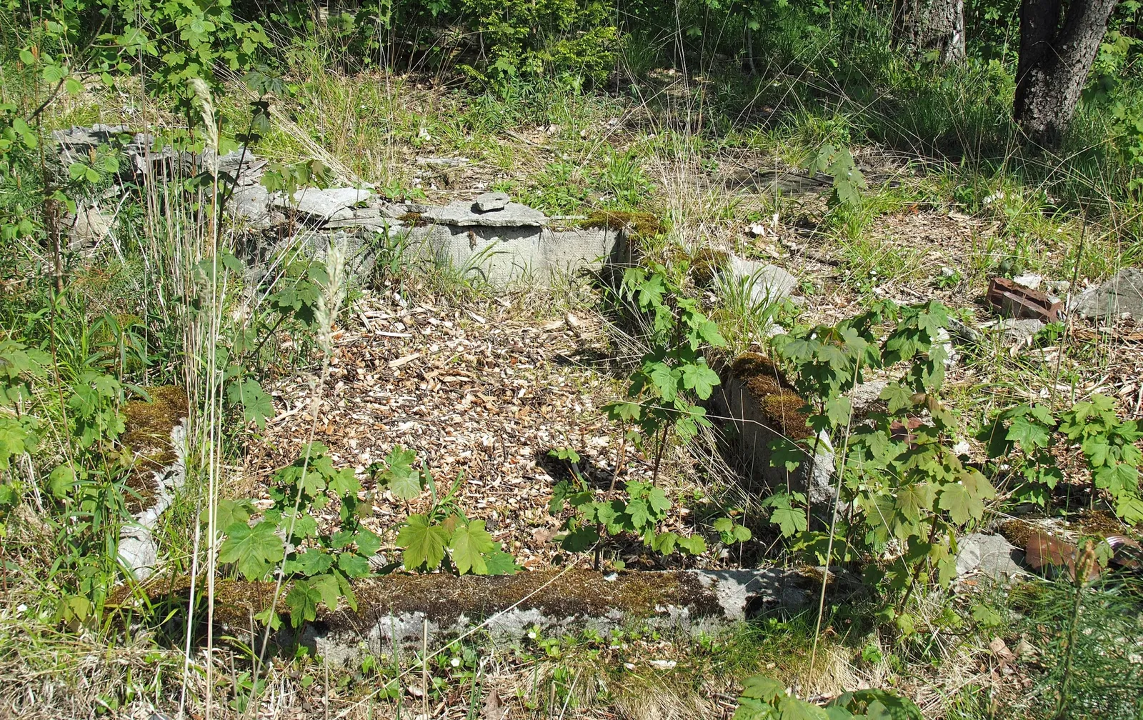 Campo di concentramento di Bergen-Belsen