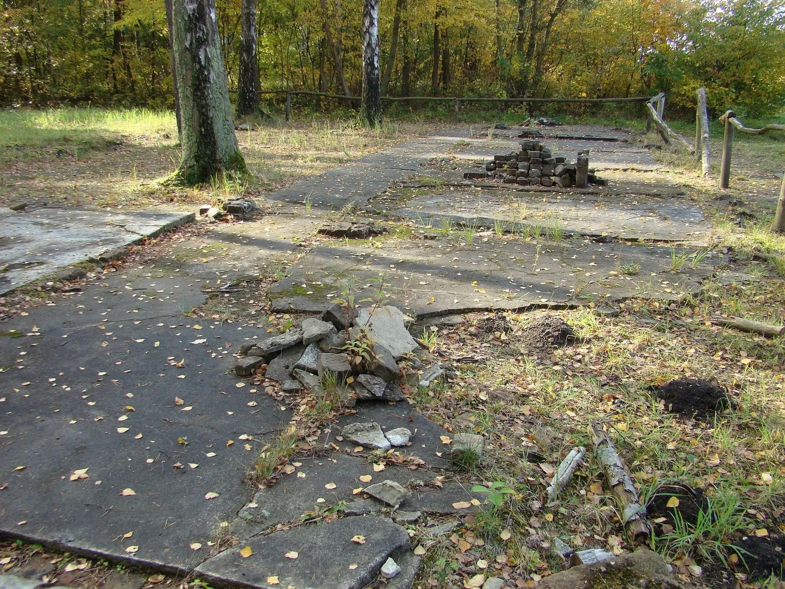 Campo di concentramento di Bergen-Belsen