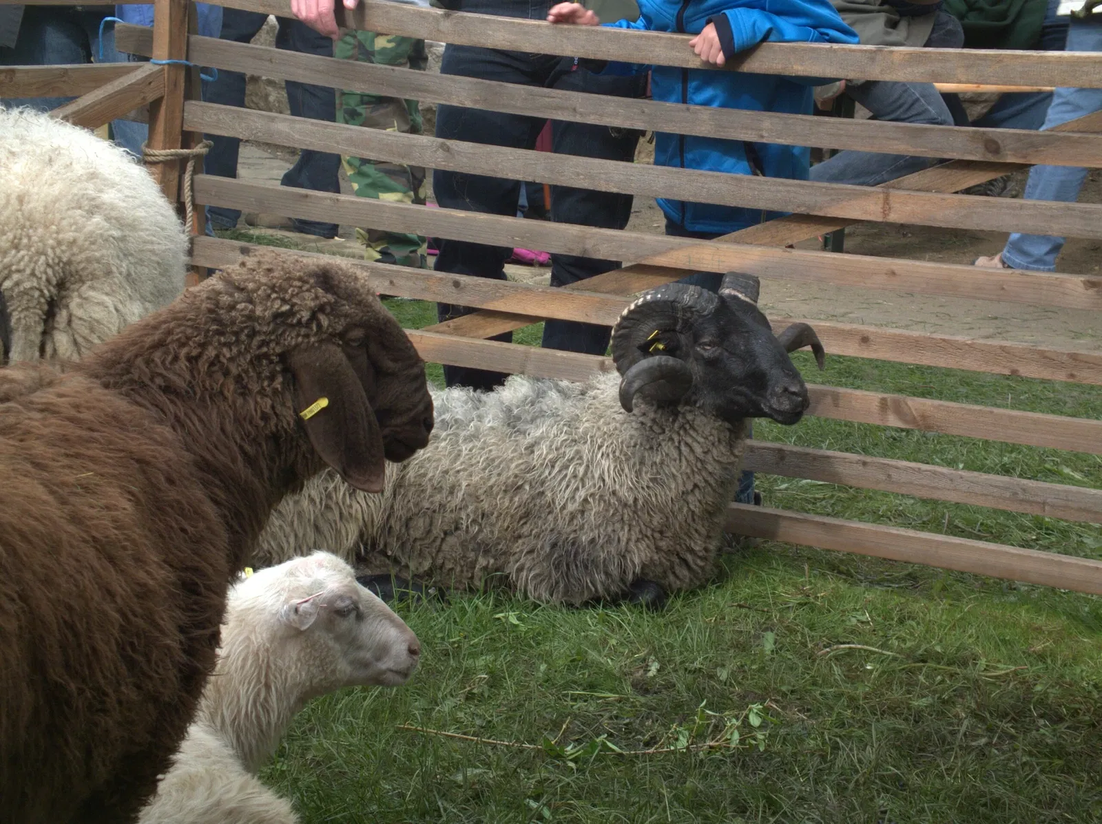 Deutsches Hirtenmuseum