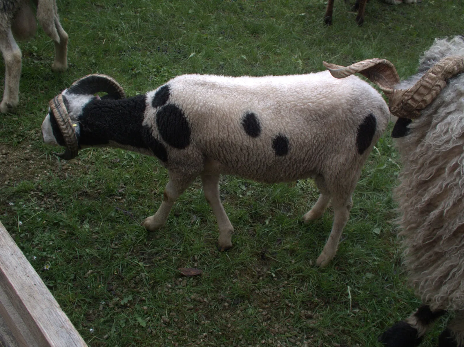 Deutsches Hirtenmuseum