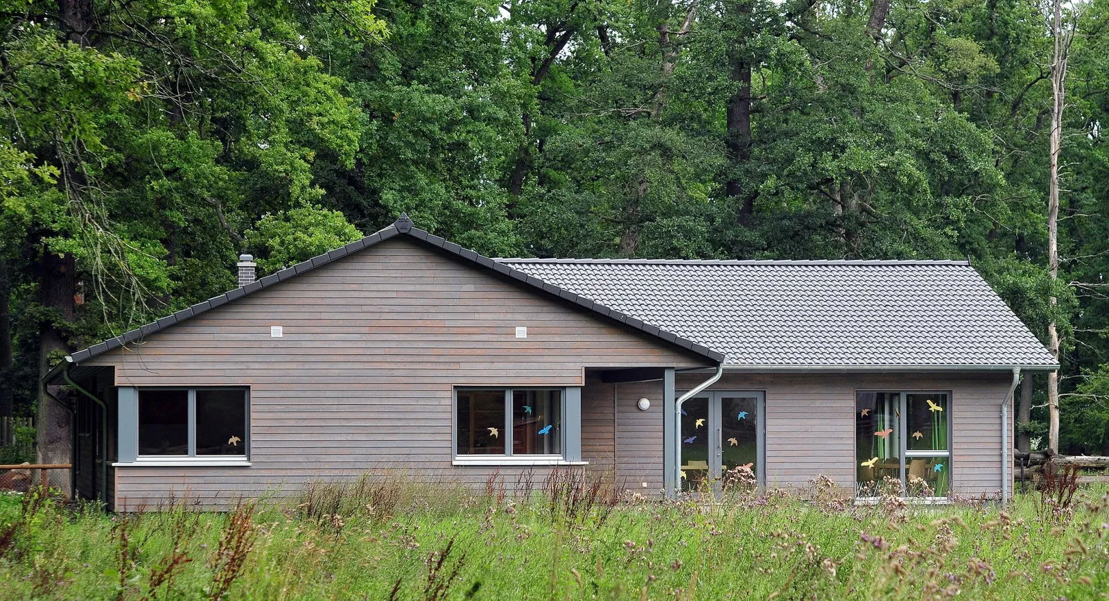 Springe Bison Reserve