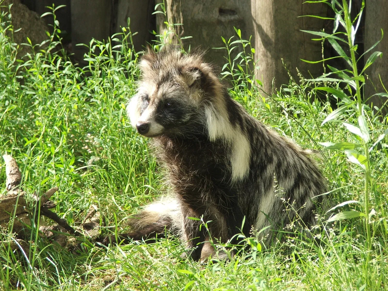 Tierpark Ueckermünde
