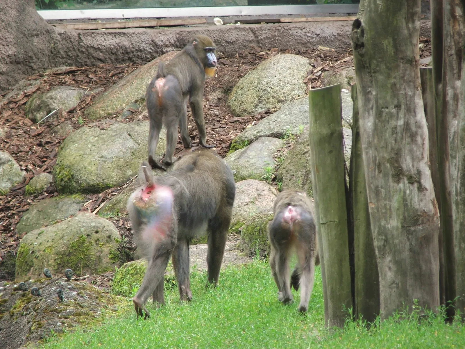 Tierpark Ueckermünde