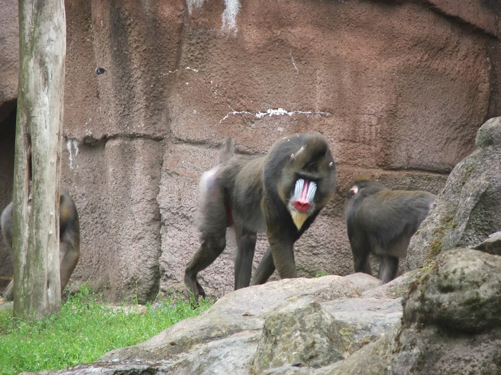 Tierpark Ueckermünde