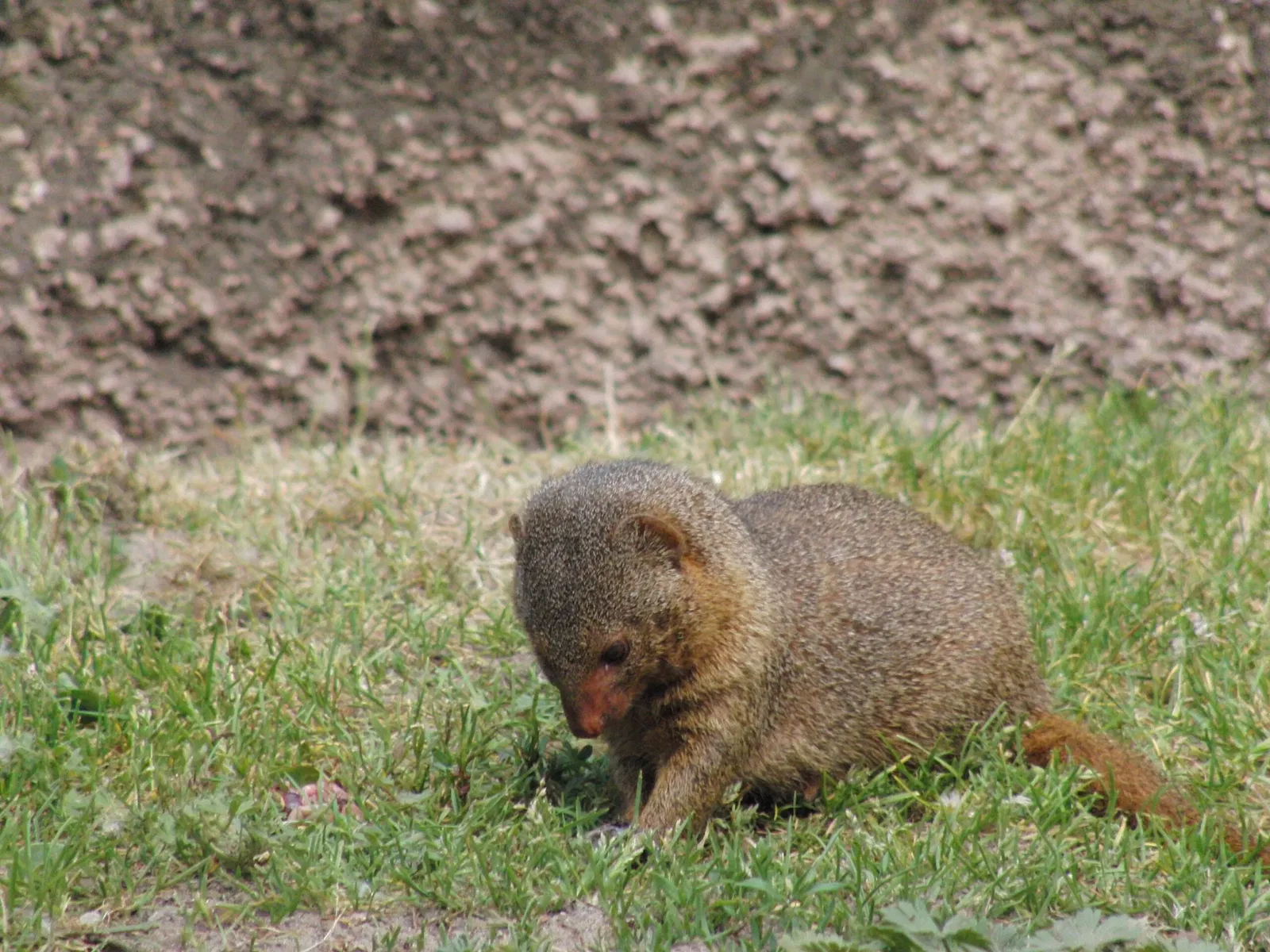 Tierpark Ueckermünde