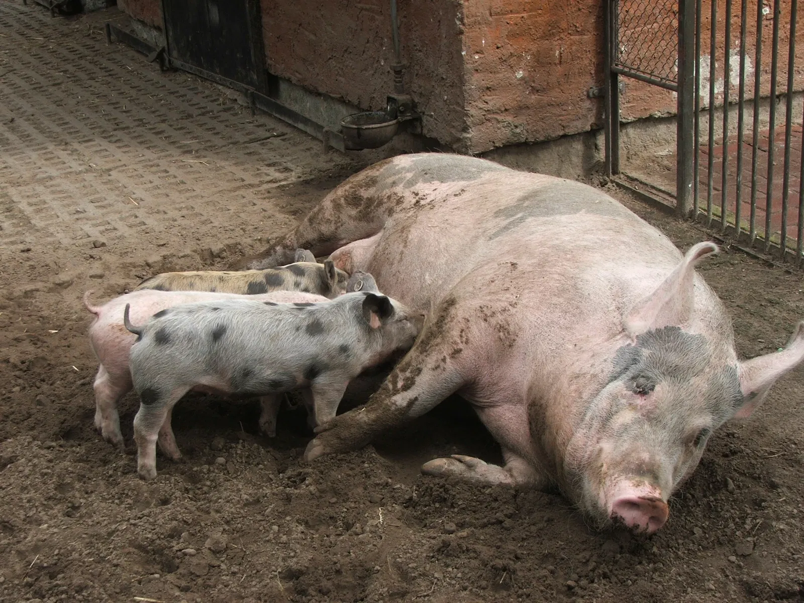 Tierpark Ueckermünde