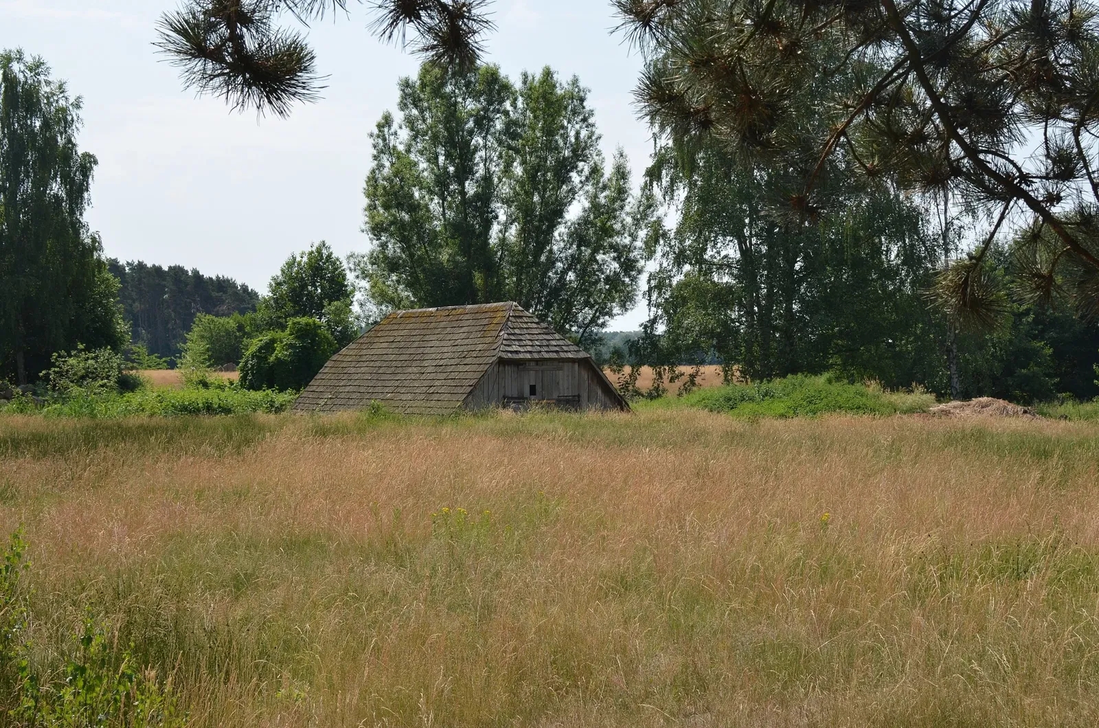 Internationales Mühlenmuseum Gifhorn