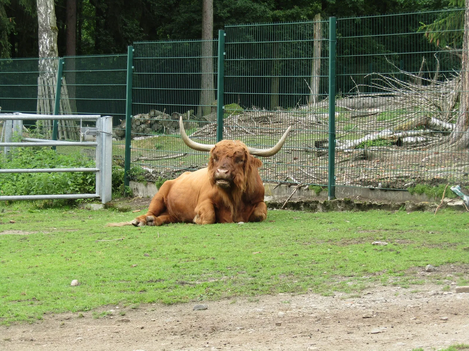 Amerika-Tierpark Limbach-Oberfrohna