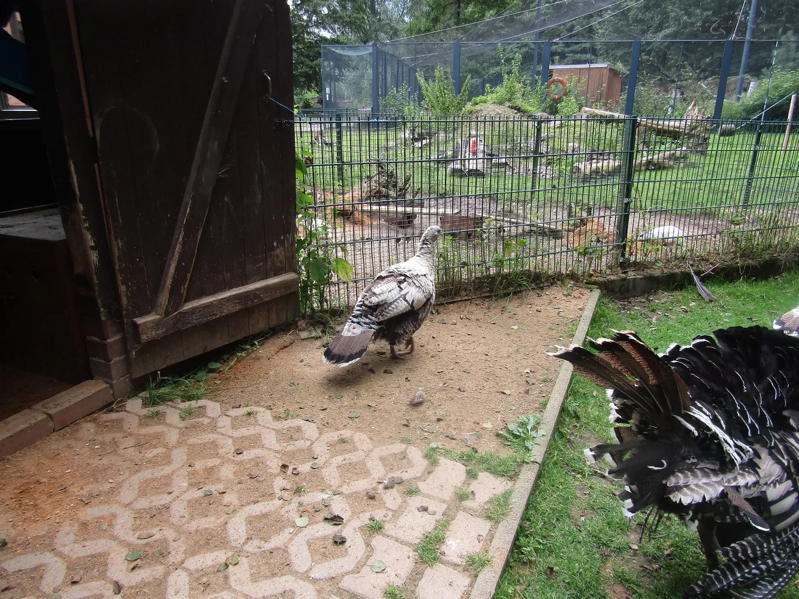 Amerika-Tierpark Limbach-Oberfrohna