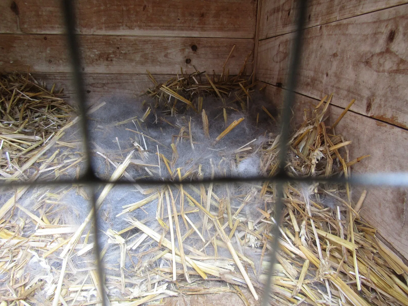 Amerika-Tierpark Limbach-Oberfrohna