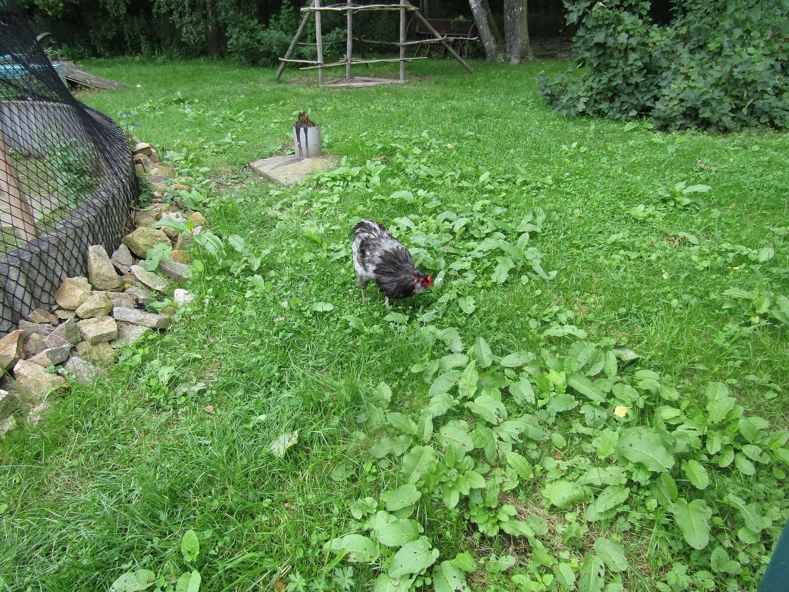 Amerika-Tierpark Limbach-Oberfrohna