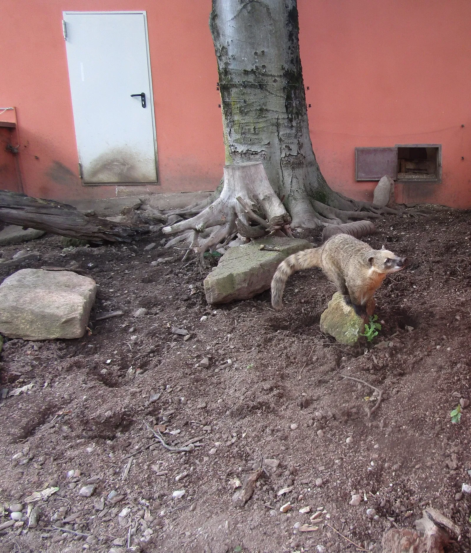 Amerika-Tierpark Limbach-Oberfrohna