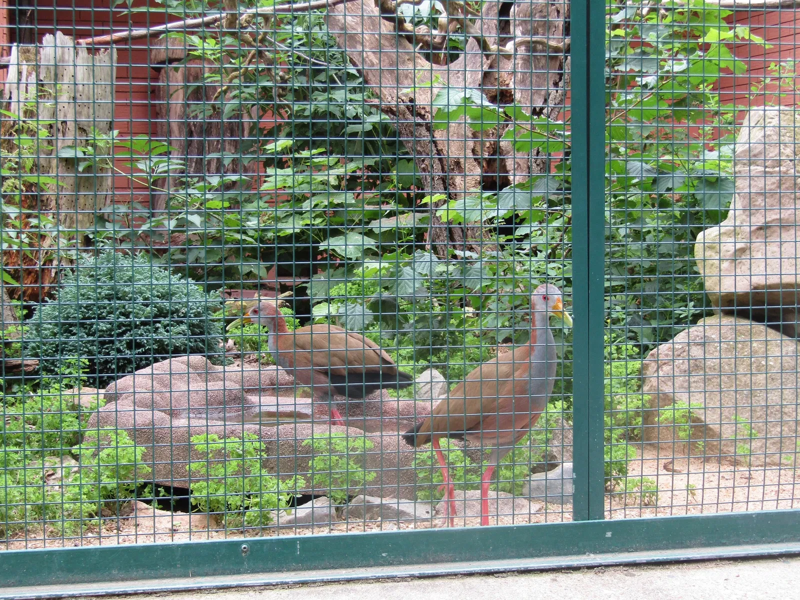 Amerika-Tierpark Limbach-Oberfrohna