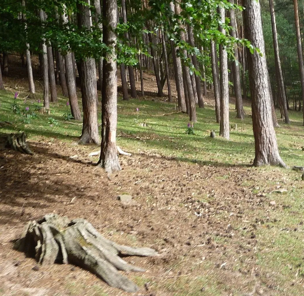 Kurpfalz-Park Wachenheim