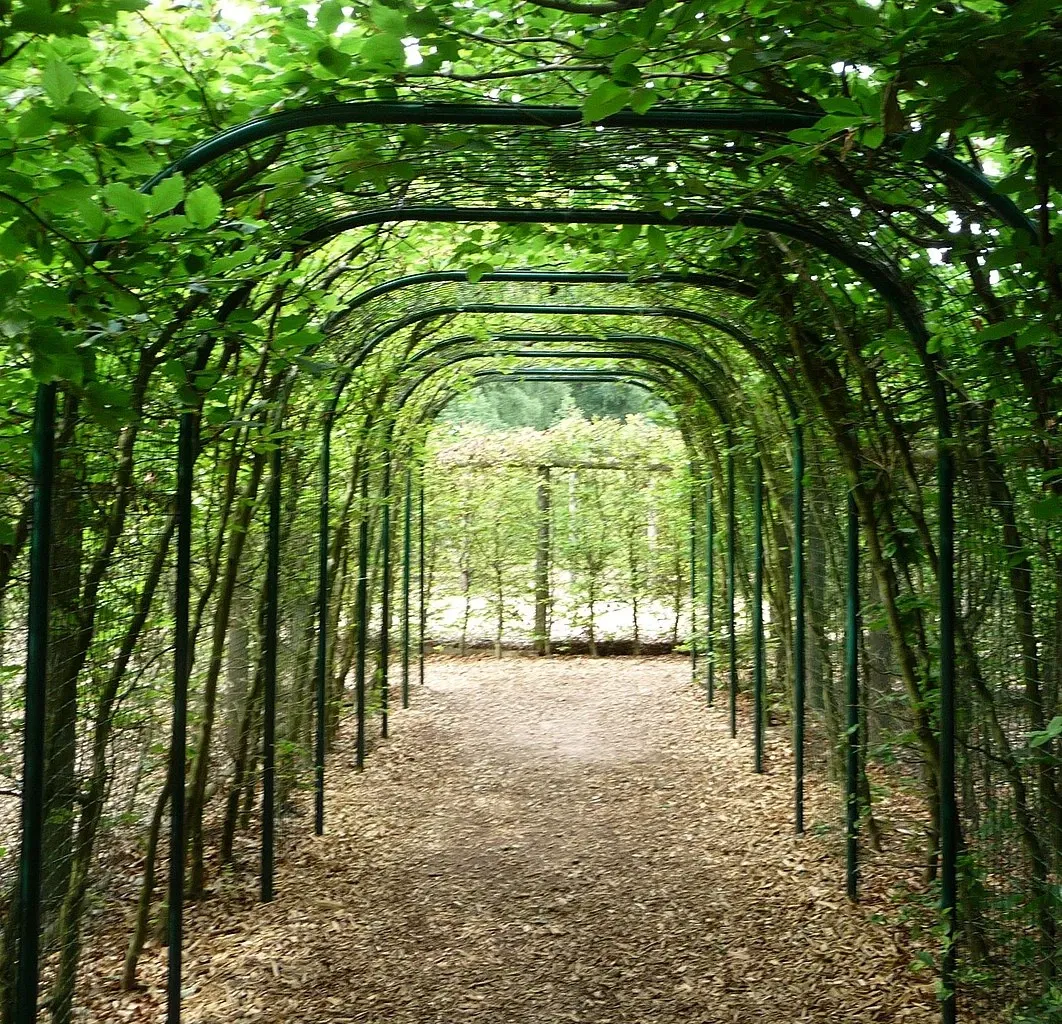 Kurpfalz-Park Wachenheim