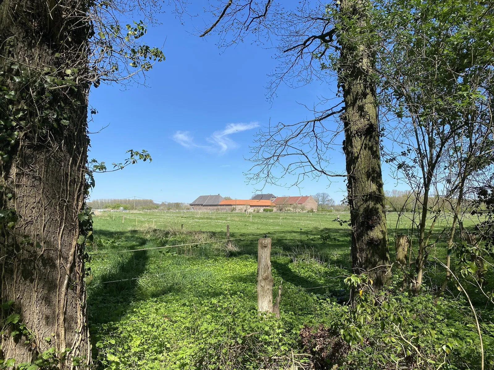 Römisches Museum Haus Bürgel