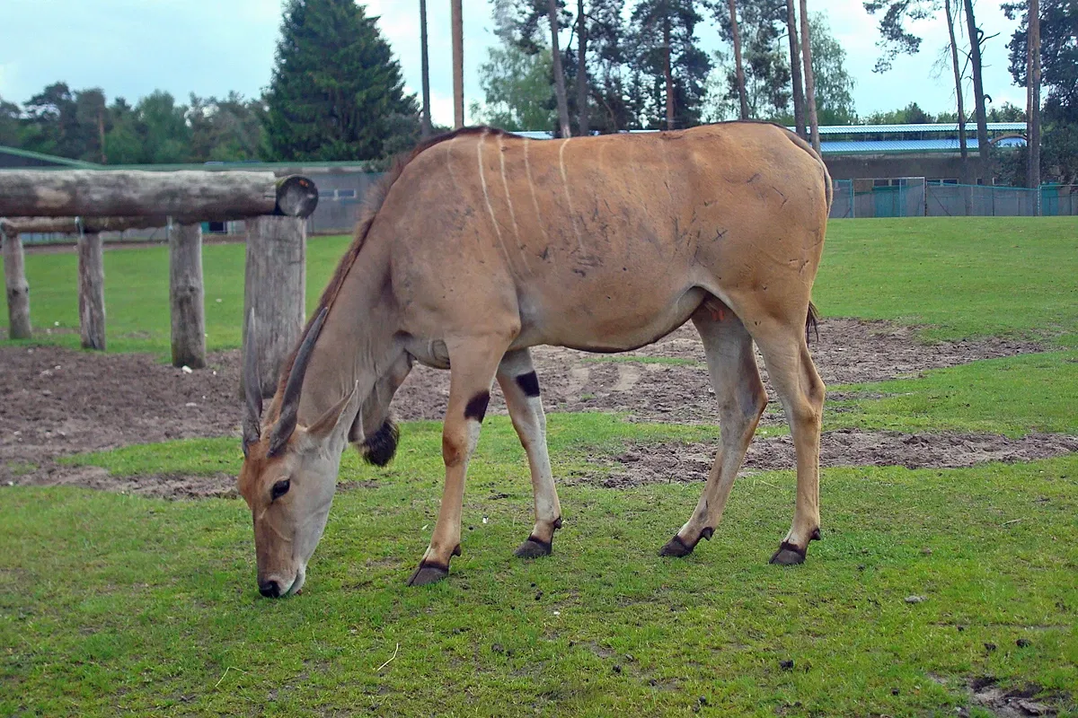 Safariland Stukenbrock