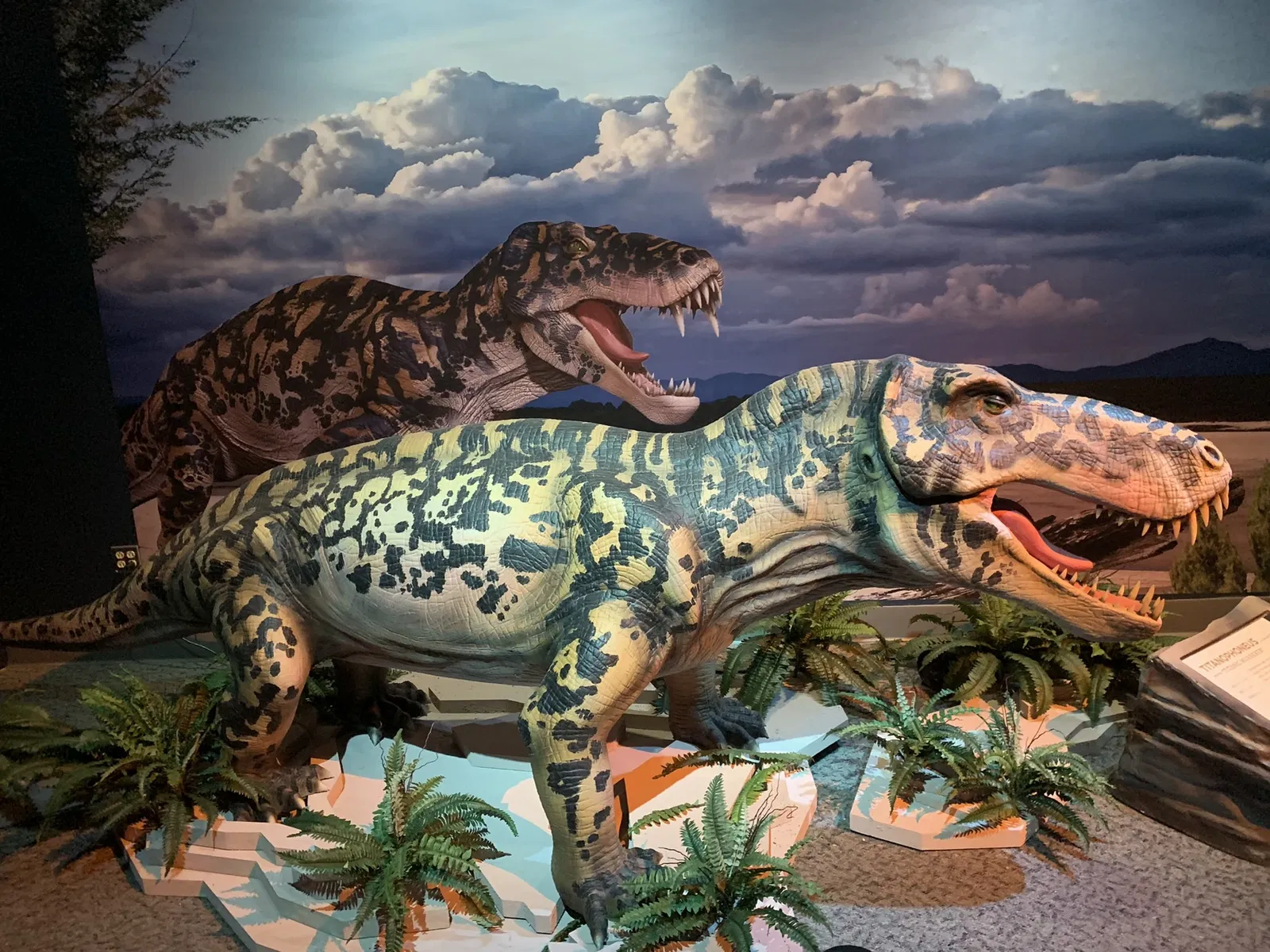 North Carolina Museum of Natural Sciences